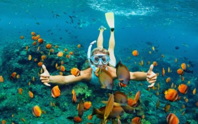 Hawaii Activities And Tour Packages