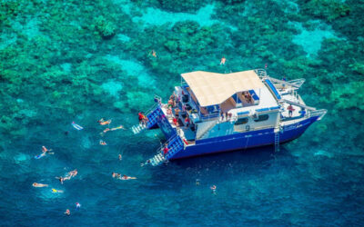 Captain Cook Snorkeling Cruises Review