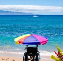 Cheaphawaiian Tours Wheelchair Accessible Activities Review