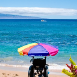 Cheaphawaiian Tours Wheelchair Accessible Activities Review