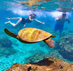 Deluxe Molokini & Turtle Snorkel Tour Review