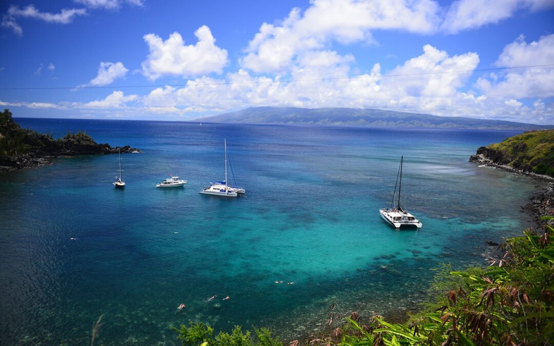 Unleashing the Adventurer Within: Oahu Snorkel Tours in Hawaii