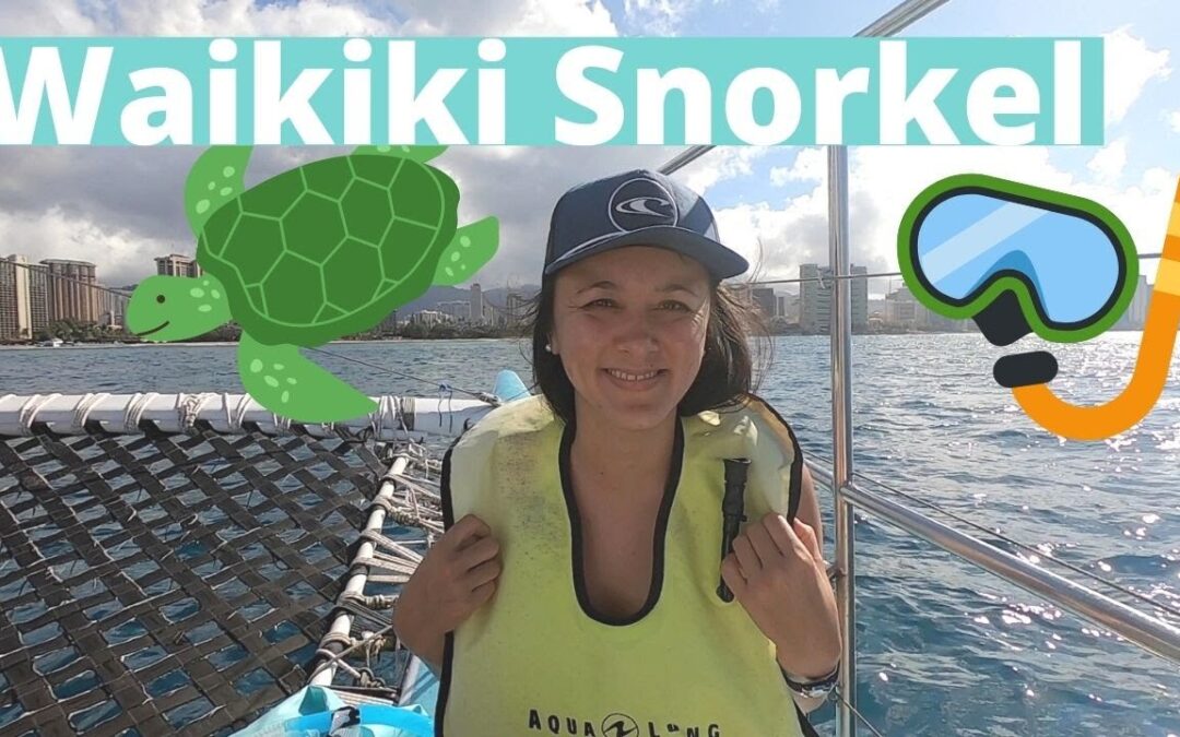 How to SNORKEL with TURTLES in Waikiki | Most AFFORDABLE snorkel tour | OAHU