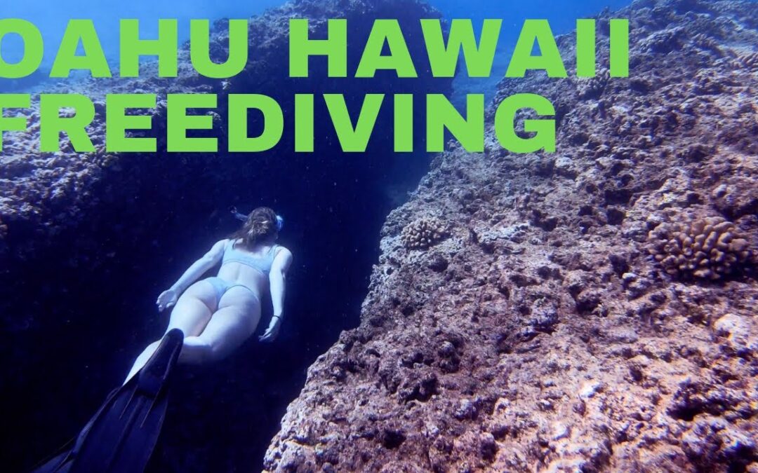 Oahu Snorkeling at Sharks Cove | Hawaii