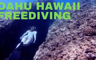 Oahu Snorkeling at Sharks Cove | Hawaii