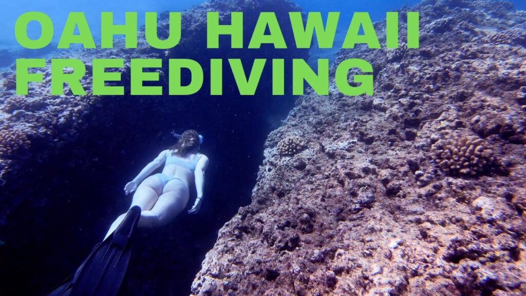 Oahu Snorkeling at Sharks Cove | Hawaii