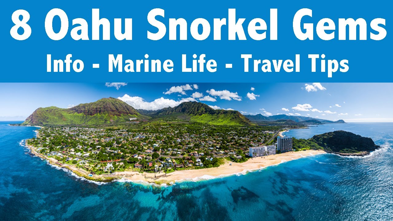 Our TOP 8 Oahu Snorkel Spots Everything you need to know! Hawaii