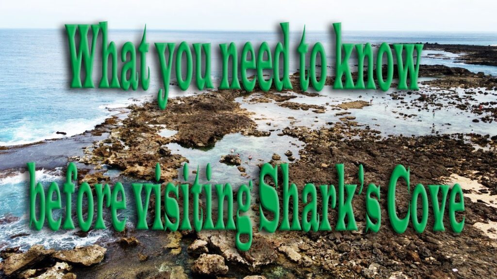 What you need to know before you visit Sharks Cove on Oahu, Hawaii