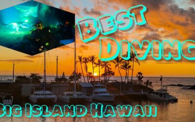 Best Diving on the Big Island of Hawaii