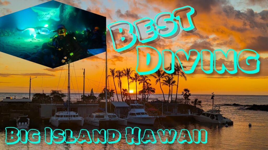 Best Diving on the Big Island of Hawaii