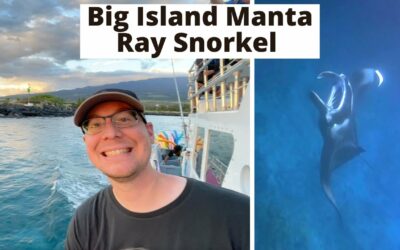 Big Island Manta Ray Snorkel! Our thoughts on the best company to book!