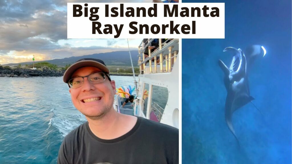 Big Island Manta Ray Snorkel! Our thoughts on the best company to book!