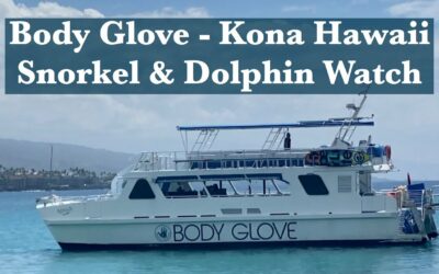 Body Glove Snorkel & Dolphin Watch – Big Island Snorkeling