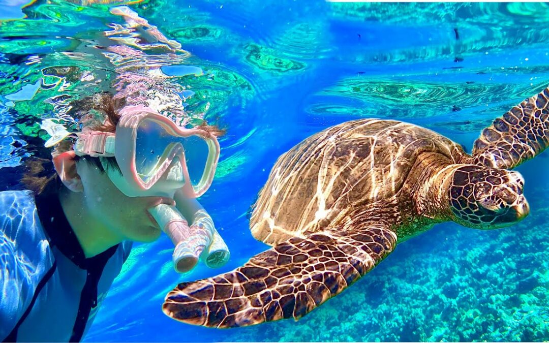 Molokini Crater & Turtle Town Excursion! Maui Magic Snorkeling Tour in Hawaii!