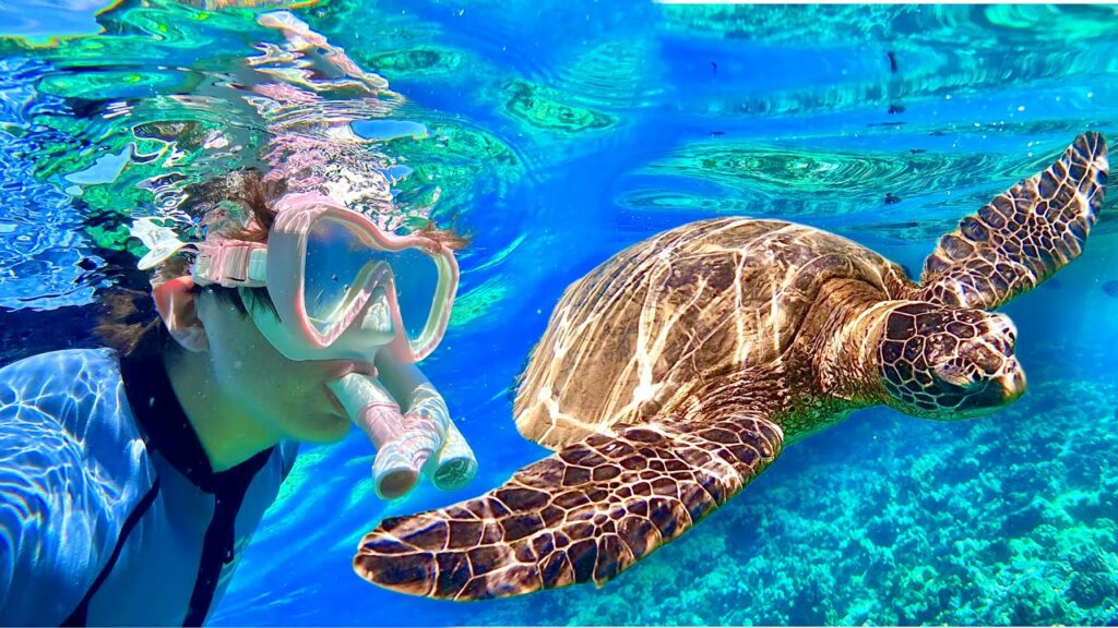 Molokini Crater  Turtle Town Excursion! Maui Magic Snorkeling Tour in Hawaii!