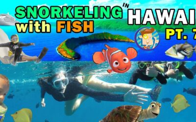 SNORKELING IN HAWAII w  Ocean Water Slide! Swim w/ Fish @ Molokini (FV Family Maui Trip Part 7)