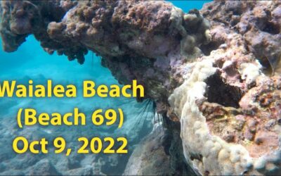 Snorkeling Review: Waialea Beach/Beach 69, Big Island, Hawaii (Oct 9, 2022)