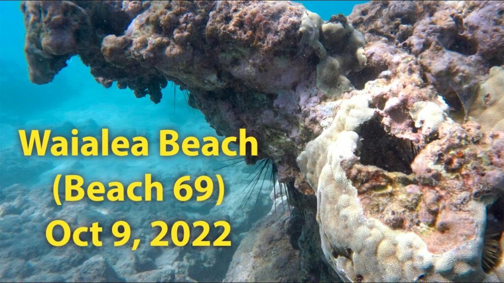 Snorkeling Review: Waialea Beach/Beach 69, Big Island, Hawaii (Oct 9, 2022)