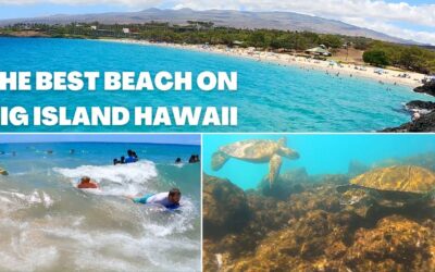 The Best Beach on Big Island Hawaii! | Snorkeling, Cliff Jumping, Boogie Boarding