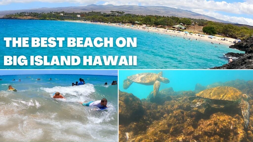 The Best Beach on Big Island Hawaii! | Snorkeling, Cliff Jumping, Boogie Boarding