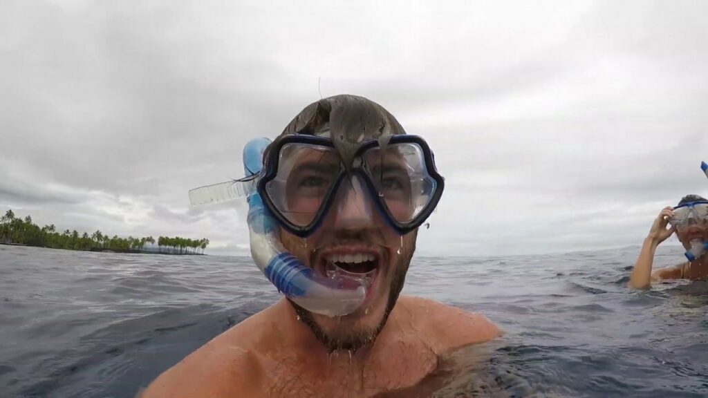 Wild Spinner Dolphin Jumps Out Water Snorkeling at Two Step Big Island Hawaii