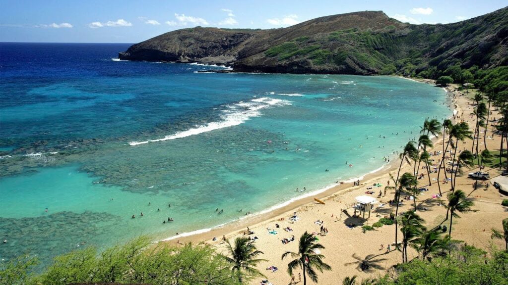 Oahu - Hanauma Bay Snorkeling Adventure Half-Day Tour