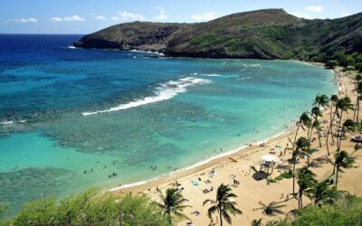 Oahu – Hanauma Bay Snorkeling Adventure Half-Day Tour