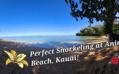 Perfect Snorkeling at Anini Beach, Kauai