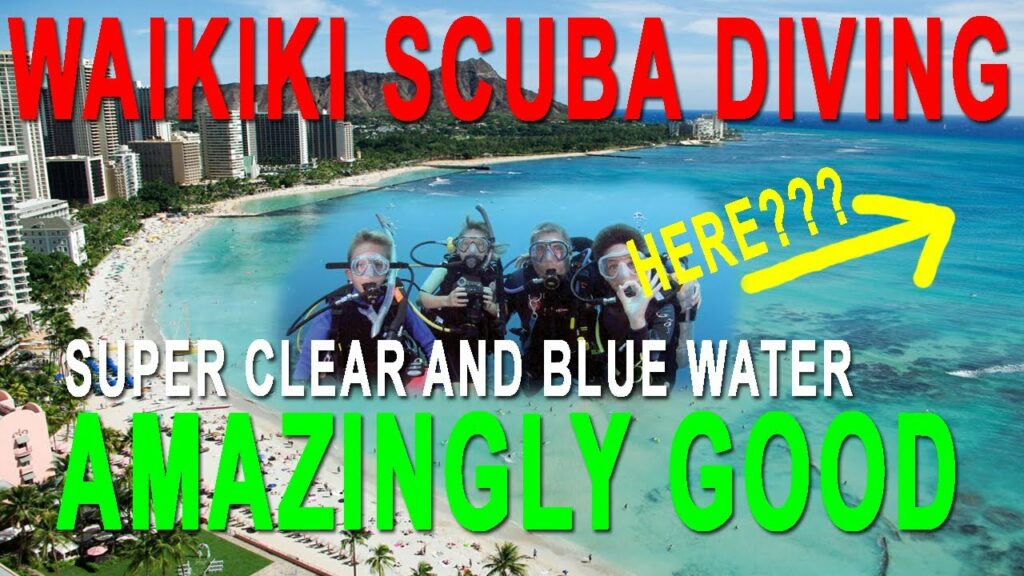 Scuba Dive Waikiki | Oahu Diving - Is this water clear enough for you?