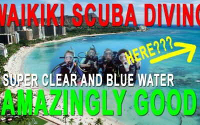 Scuba Dive Waikiki | Oahu Diving – Is this water clear enough for you?