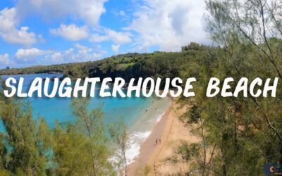 Snorkeling at Slaughterhouse Beach on the west side of Maui, Hawaii