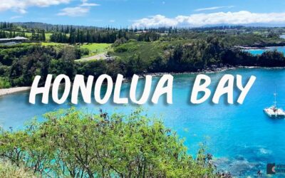 The Best Snorkeling at Honolua Bay on the west side of Maui, Hawaii