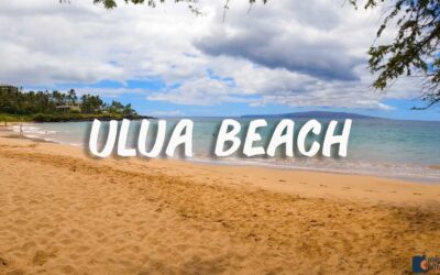 The Best Snorkeling at Ulua Beach in southern Maui, Hawaii