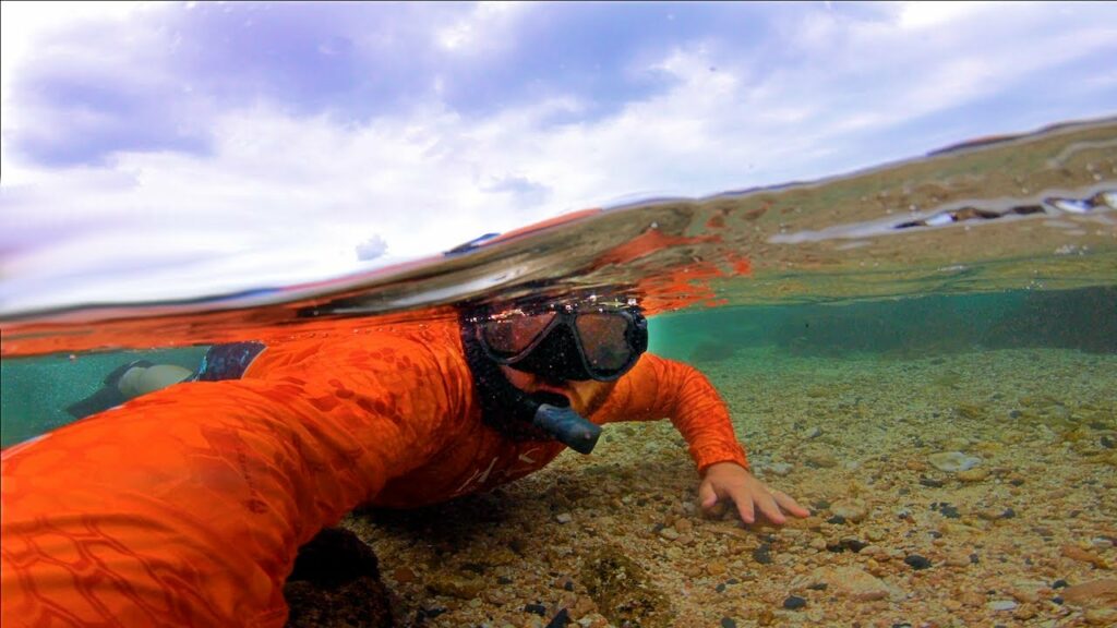 The Best SNORKELING in Oahu Hawaii??? (Sharks Cove)