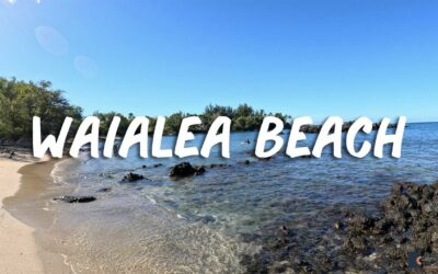 Waialea Beach on the Big Island of Hawaii (Great Snorkeling)