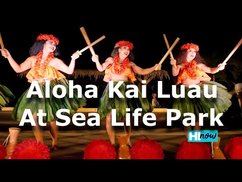 Aloha Kai Luau at Sea Life Park - Best Luau in Hawaii!