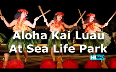 Aloha Kai Luau at Sea Life Park – Best Luau in Hawaii!