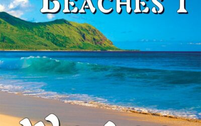 Best Hawaii Beaches 1 / Waves Relaxation Nature Videos review