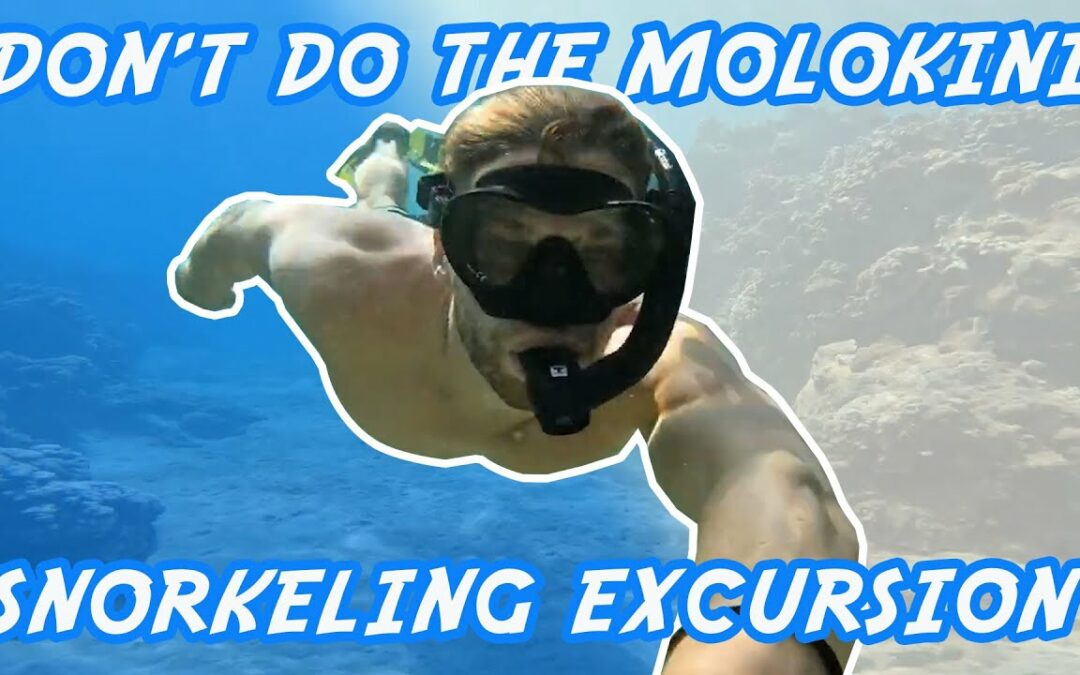 Don’t Do The Molokini Snorkeling Excursion, Maui | The Adventure Buddies